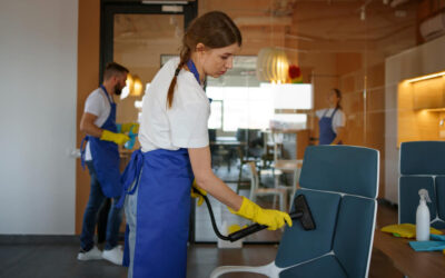 The Impact of a Pristine Office on Professional Productivity